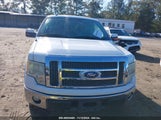 FORD F-150 FX4/LARIAT/XL/XLT 1FTFX1EV6AF****** photo