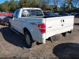 FORD F-150 FX4/LARIAT/XL/XLT 1FTFX1EV6AF****** photo