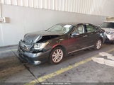 LEXUS ES 350 JTHBK1EG5B2424049 fotografie