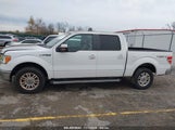 FORD F-150 LARIAT 1FTFW1EF1EKF39573 снимка