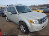 FORD ESCAPE XLT photo