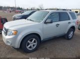 FORD ESCAPE XLT photo