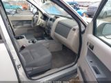 FORD ESCAPE XLT photo