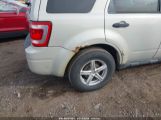 FORD ESCAPE XLT photo