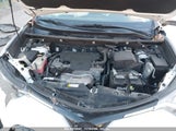 TOYOTA RAV4 XLE 2T3RFREV6HW****** fotografie