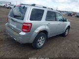 FORD ESCAPE LIMITED photo