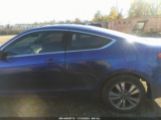 HONDA ACCORD 2.4 EX-L photo