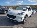 FORD ESCAPE SEL 1FMCU0H67NU****** fotografie