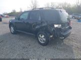 FORD ESCAPE XLT снимка