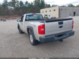 CHEVROLET SILVERADO 1500 WORK TRUCK 1GCEK14C88E****** fotografie