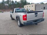 CHEVROLET SILVERADO 1500 WORK TRUCK photo