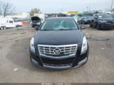 CADILLAC XTS LUXURY photo