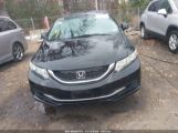 HONDA CIVIC LX photo