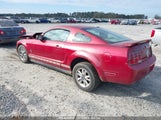 FORD MUSTANG V6 1ZVFT80N165150848 снимка