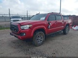 Toyota Tacoma Sr5 V6 3TMAZ5CN7KM096143 photo