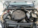 AUDI A5 45 PREMIUM WAUANCF5XKA****** photo