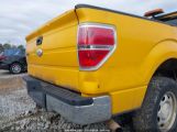 FORD F150 photo