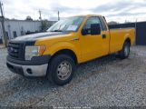 FORD F150 photo