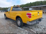 FORD F150 photo