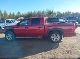 DODGE DAKOTA BIGHORN/LONESTAR photo