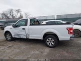 FORD F-150 XL 1FTMF1C59KK****** снимка