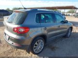 VOLKSWAGEN TIGUAN SE/SEL photo