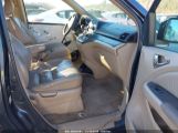 HONDA ODYSSEY EX-L photo