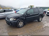 MITSUBISHI ENDEAVOR 4A4JN2AS1BE****** снимка