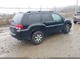 MITSUBISHI ENDEAVOR 4A4JN2AS1BE****** снимка