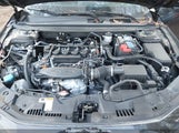 HONDA ACCORD LX 1HGCY1F28PA****** photo