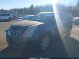 CADILLAC SRX STANDARD снимка