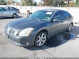 NISSAN MAXIMA 3.5 SE photo