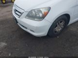 HONDA ODYSSEY EX-L photo