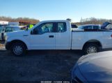 FORD F-150 XL photo