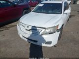 TOYOTA CAMRY LE photo