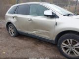 LINCOLN MKX photo