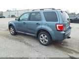 FORD ESCAPE XLT 1FMCU0D74AK****** fotografie