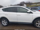 TOYOTA RAV4 XLE photo