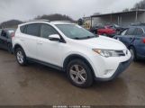 TOYOTA RAV4 XLE photo