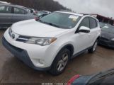 TOYOTA RAV4 XLE JTMRFREV2D5****** photo