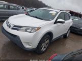 TOYOTA RAV4 XLE photo