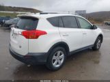 TOYOTA RAV4 XLE photo