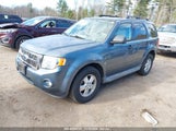 FORD ESCAPE XLT 1FMCU9D71AK****** fotografie