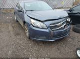 CHEVROLET MALIBU 1LS 1G11B5SA8DF****** photo
