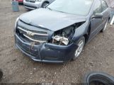 CHEVROLET MALIBU 1LS 1G11B5SA8DF****** photo