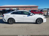 KIA K5 LXS 5XXG14J28MG055271 fotografie