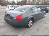 NISSAN MAXIMA 3.5 SL 1N4BA41EX4C****** снимка