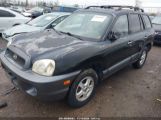 HYUNDAI SANTA FE GLS/LX KM8SC13E04U****** fotografie
