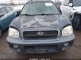 HYUNDAI SANTA FE GLS/LX KM8SC13E04U****** fotografie