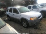 FORD ESCAPE XLT 1FMYU03171KE99182 снимка
